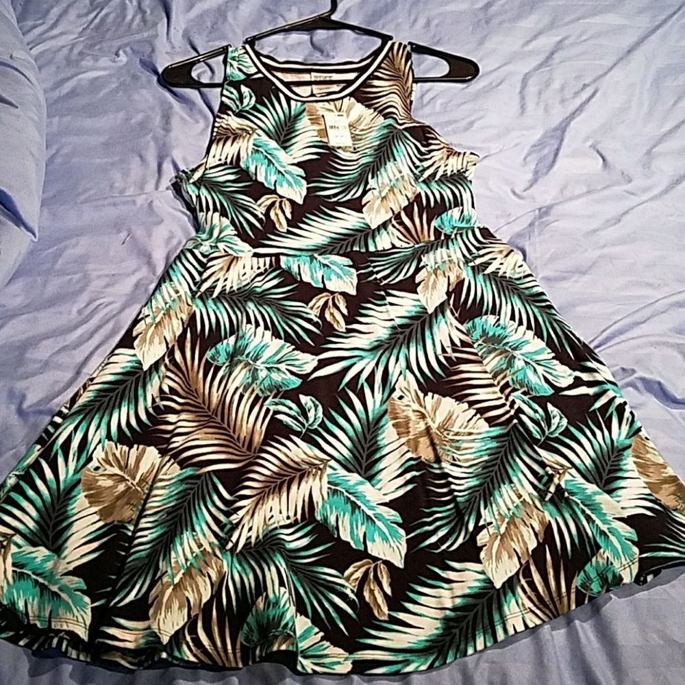 Victoria's secret pink skater dress